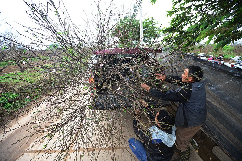 Người dân Thủ đô rộn ràng sắm Tết ảnh 10